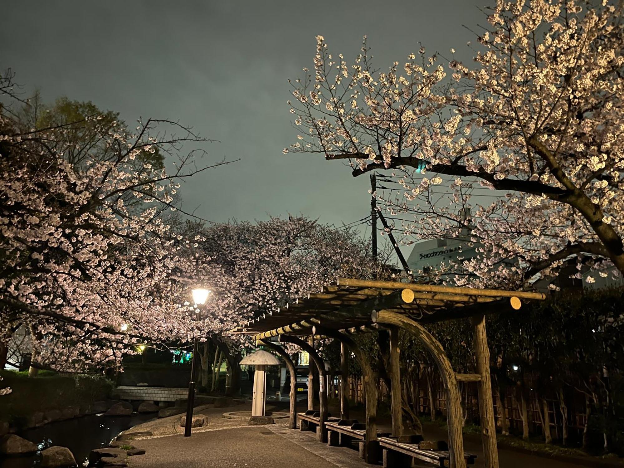 松島雅居 Appartement Tokio Buitenkant foto